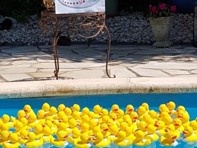  Entenrennen des Lions Club